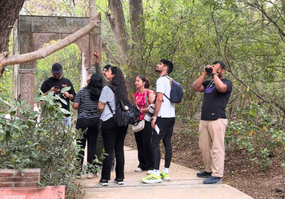 birdwatching-in-sunder-nursury