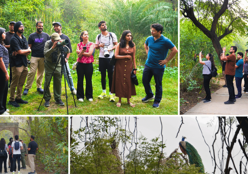 corporate-nature-walk