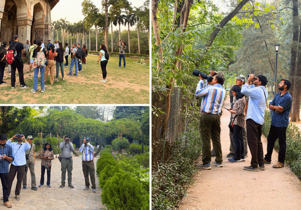 lodhi-garden-bird-walk-delhi