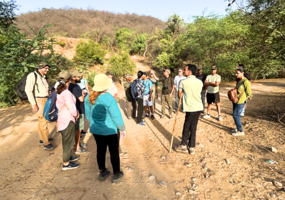 Delhi Earth Walks