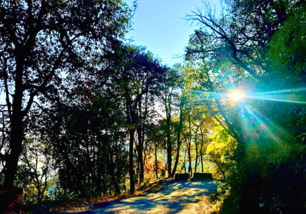 Eco Walks Pangot