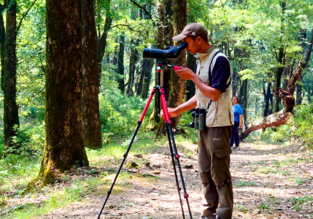 birding near nainital