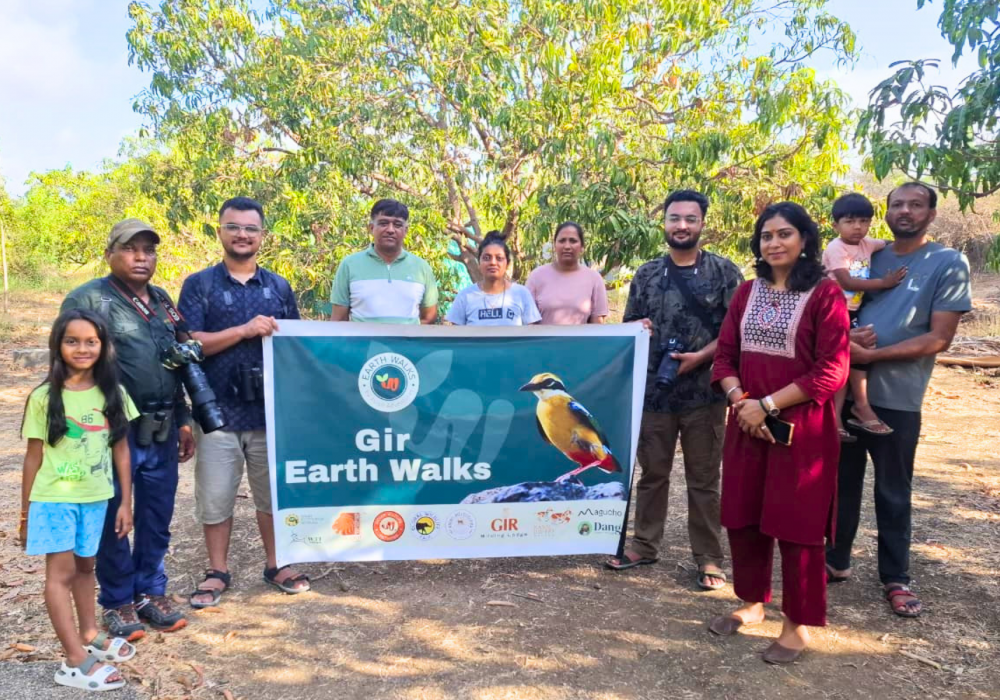 gir birding tour