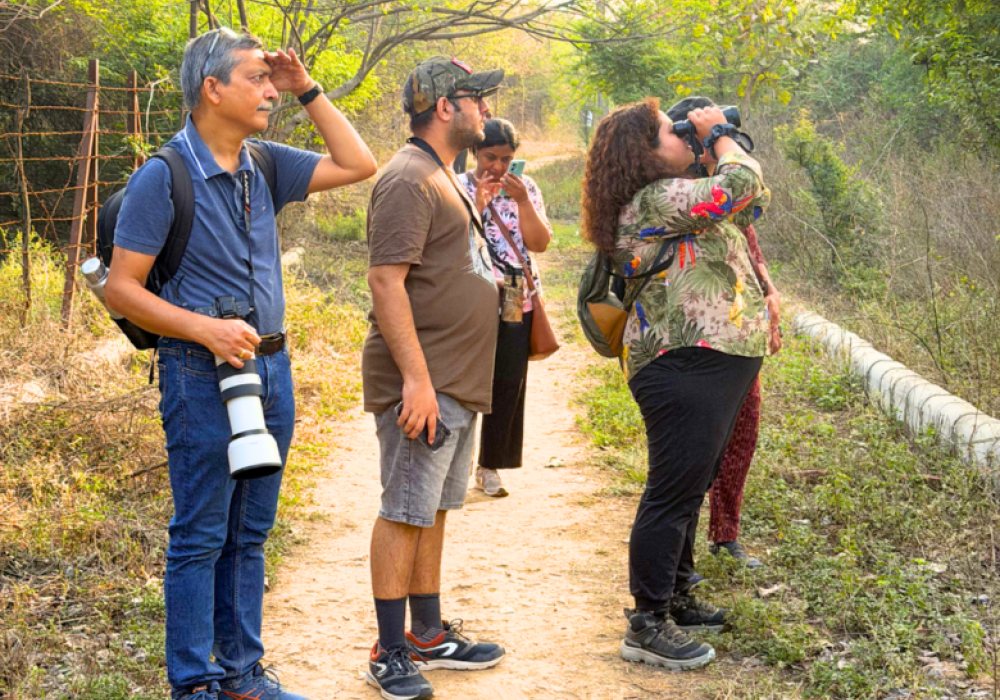 Bird Walk Tughlaqabad