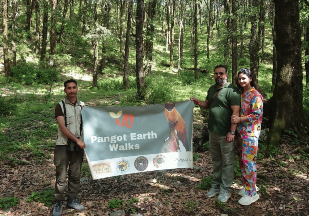Birding in Pango