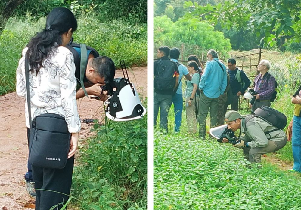 Earth walks In Aravali Biodiversity Park