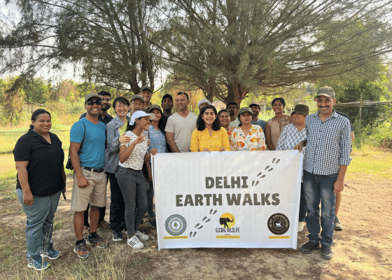 New Delhi
