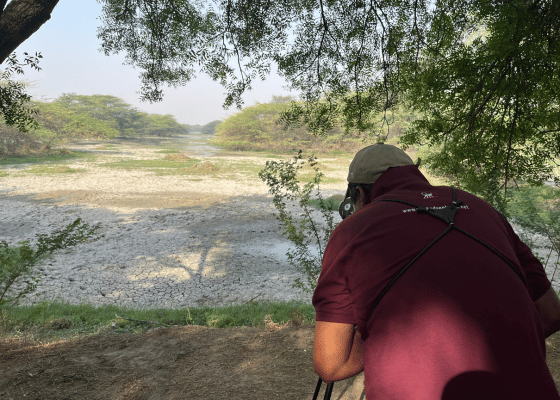 Birding In Sultanpur