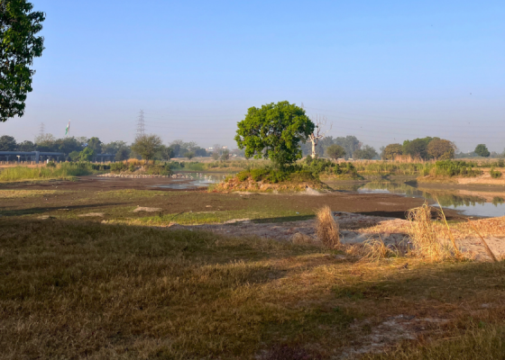 Amrut Biodiversity Park