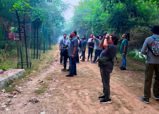 Birdwatching In Okhla