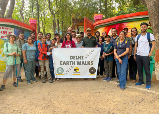 Bhondsi Nature Park, Gurgaon