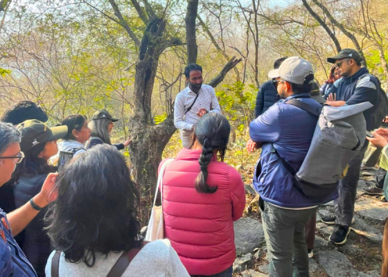 Mangar Bani Birding