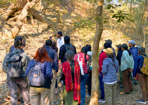 Mangar Bani Birdwatching