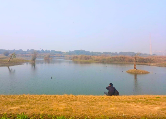 Birdwatching In Asita East