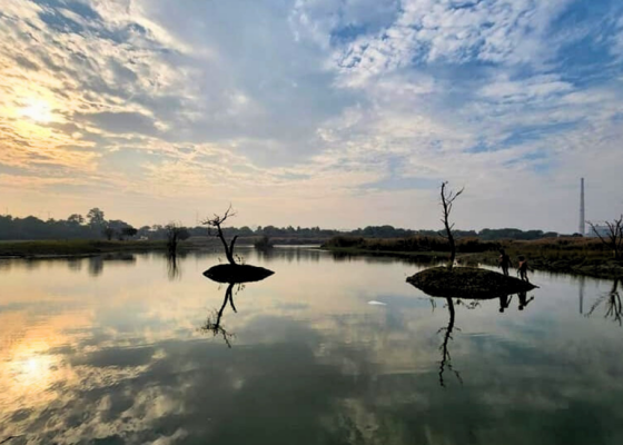 Delhi Earth Walks In Asita East