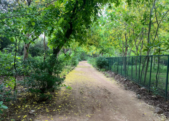 Sanjay-Van-Delhi