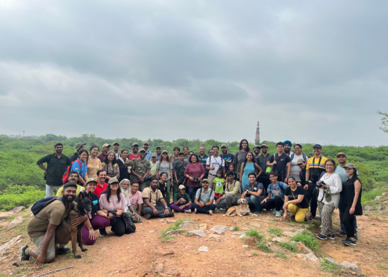 birdwatching-earth-walks-at-sanjay-van