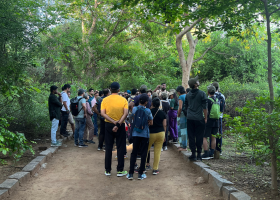delhi-earth-walks-at-sanjay-van.