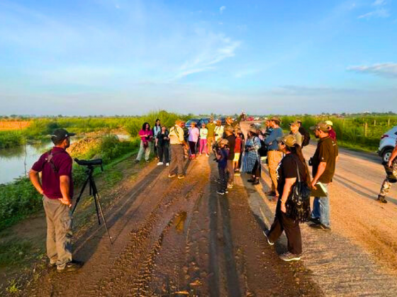 Dhanauri Wetland bird walk