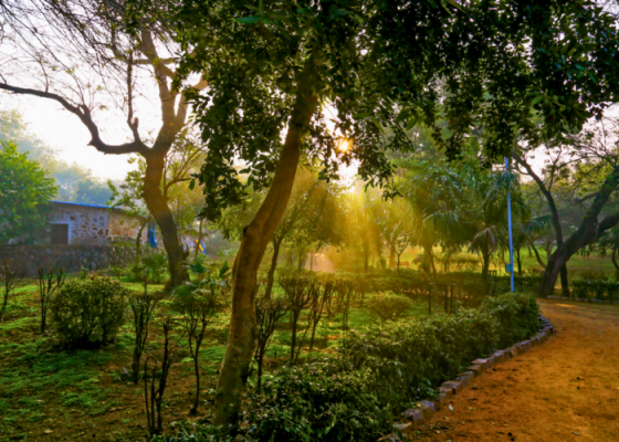 Urban-biodiversity-walk-Delhi