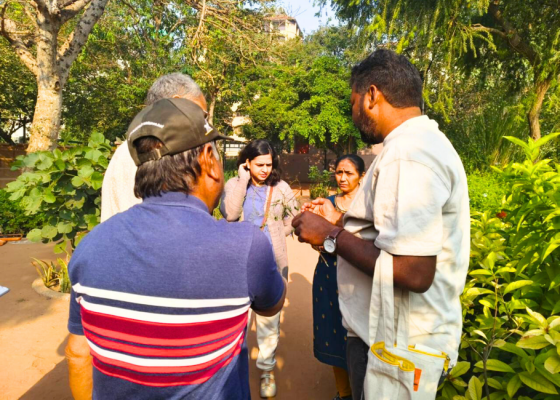 ahmedabad-earth-walks