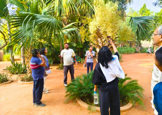 ahmedabad-earth-walks