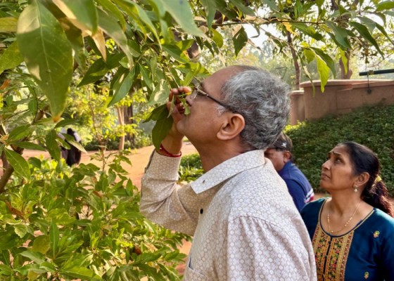 ahmedabad-earth-walks