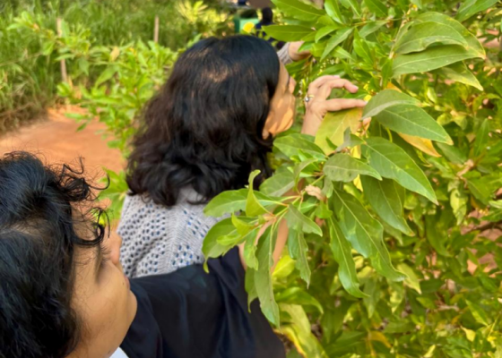 ahmedabad-earth-walks