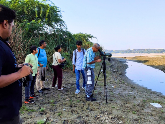 Asita East DDA Park birding