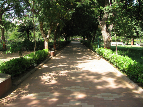 Earth-Walks-at-Law-garden