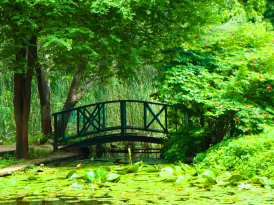 Earth-Walks-at-Law-garden