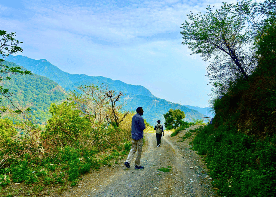 Jungle Lore Birding Lodge