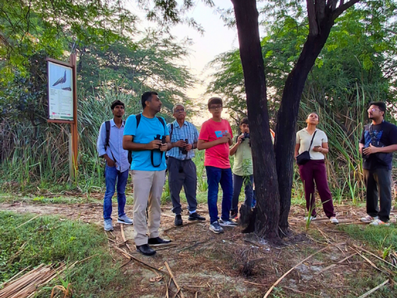 Morning birding walk Delhi