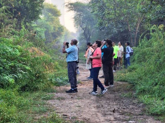 Riparian habitat birds India