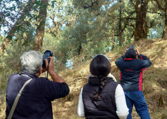 Upcoming Earth Walks