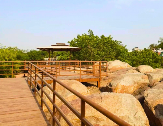 cupules-rock-art-delhi