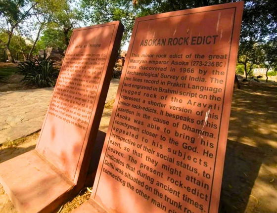 heritage-walk-delhi-january-2026