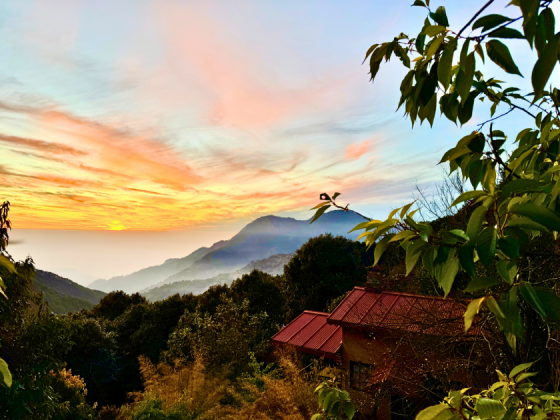 jungle-lore-birding-lodge