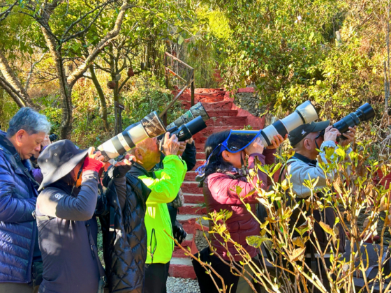 jungle-lore-birding-lodge