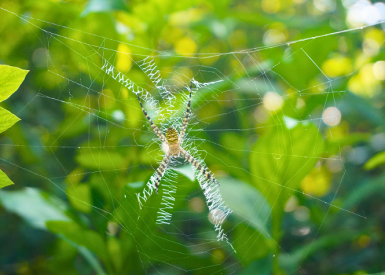 weekend-nature-walk-delhi