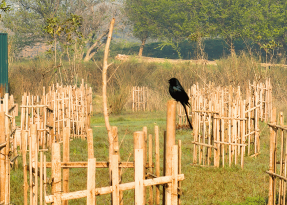 amrut-biodiversity-park