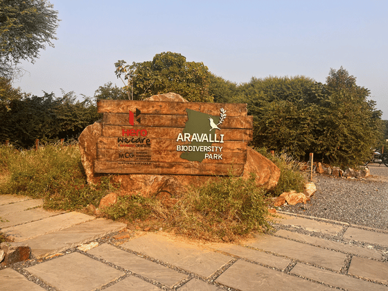 aravali-biodiversity-park