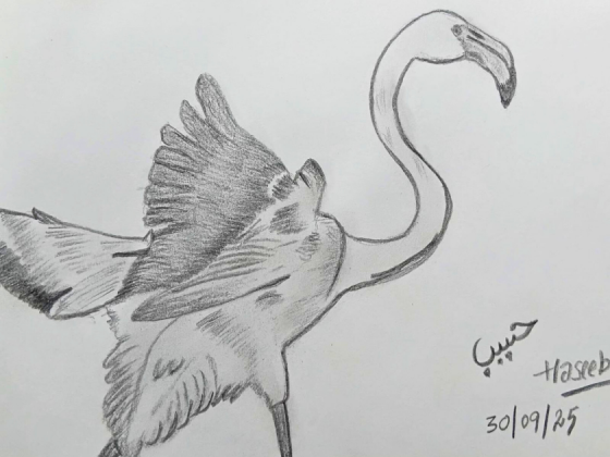 art-and-nature-workshop-ahmedabad