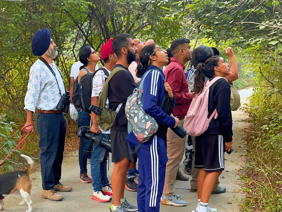 earth-walks-in-aravali-biodiversity-park