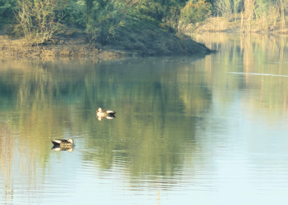 amrut-biodiversity-park