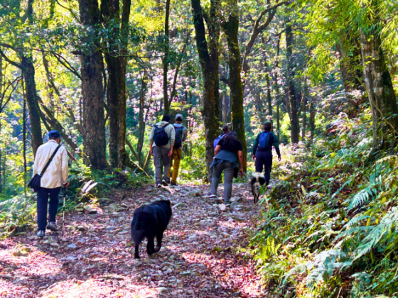 earth-walks-in-pangot