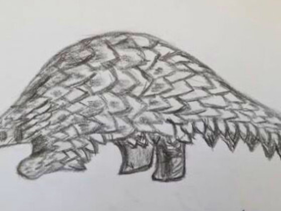 nature-art-workshop-ahmedabad