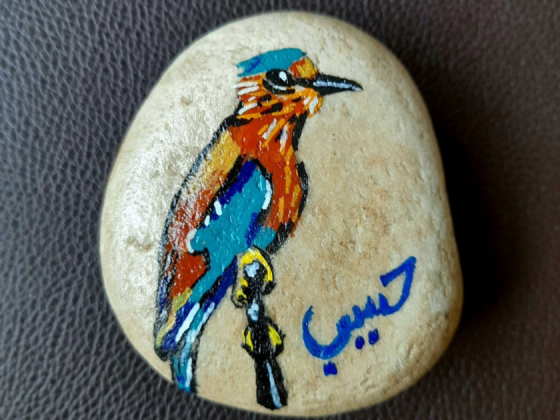 nature-sketching-workshop-ahmedabad