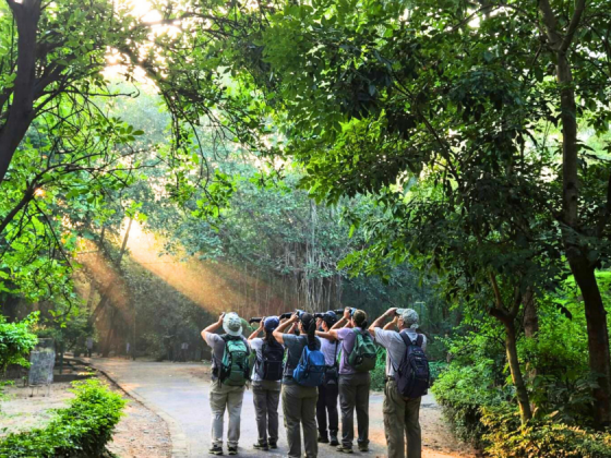nature-walk-in-delhi
