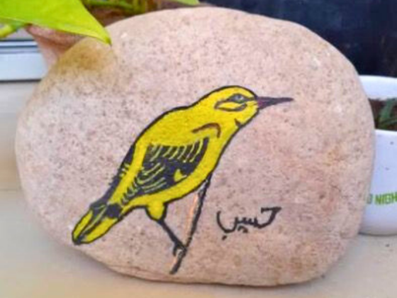 outdoor-sketching-session-ahmedabad